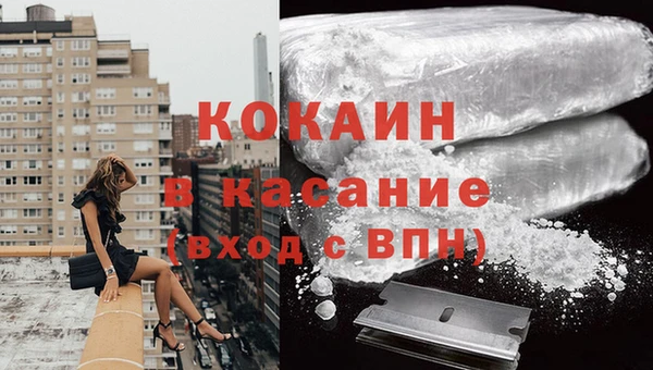 хмурый Магас