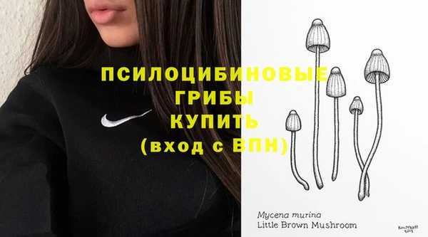 хмурый Магас