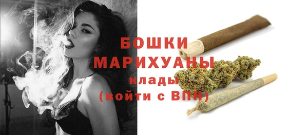 хмурый Магас