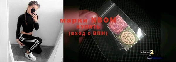 прущие грибы Балабаново