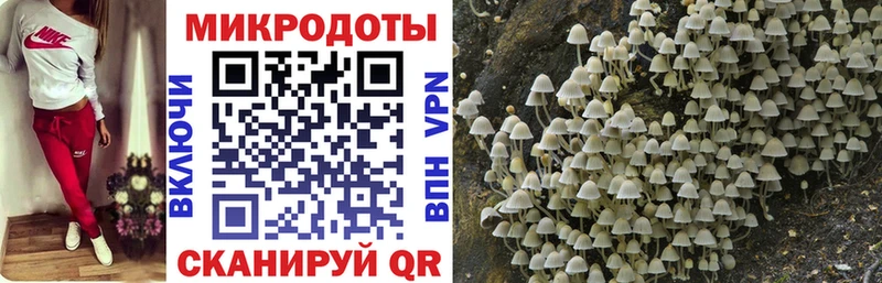 Галлюциногенные грибы Magic Shrooms  Купить  Армянск 